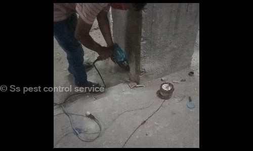 Ss pest control service - Pest Control in Kamta, Lucknow