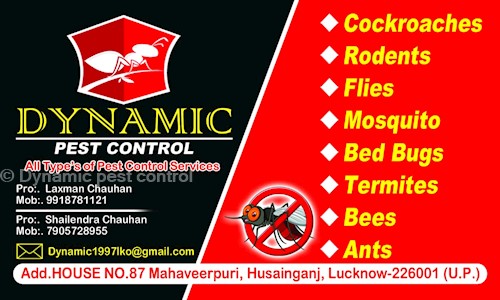 Dynamic pest control - Pest Control in Khatkeyana, Lucknow