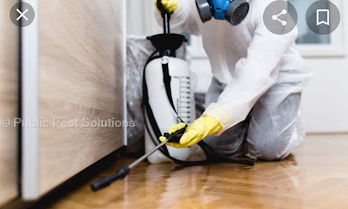 Public Pest Solutions - Pest Control in Dada Nagar, Kanpur