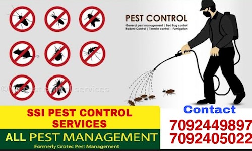 Vv pest control services - Pest Control in Periamet, Chennai