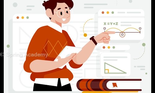 Spring Academy - School Tuitions in VKIA, Jaipur