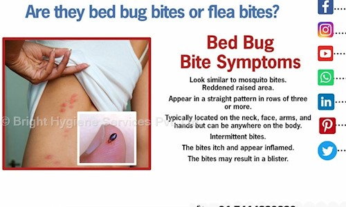 Bright Hygiene Services Pvt. Ltd. - Pest Control in Arjun Nagar, Jaipur