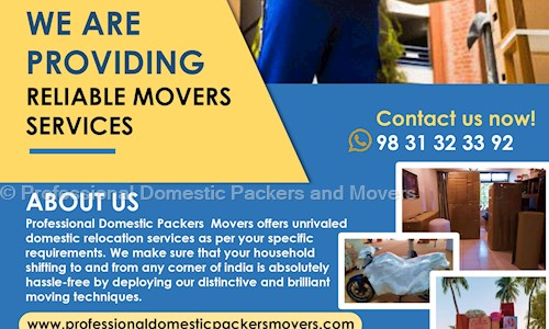 Professional Domestic Packers and Movers - Packers and Movers in Dankuni, Hooghly