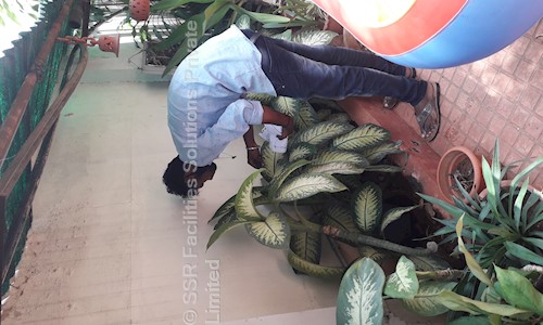 SSR Facilities Solutions Pvt. Ltd. - Pest Control in Borabanda, Hyderabad