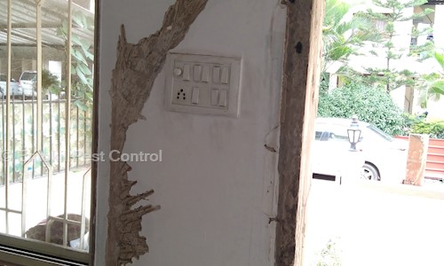 Entokil Pest Control - Pest Control in Shivaji Nagar, Pune