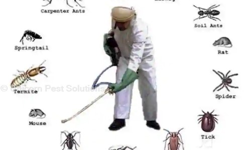 Unicorn Pest Solutions - Pest Control in Hebbal, Bangalore