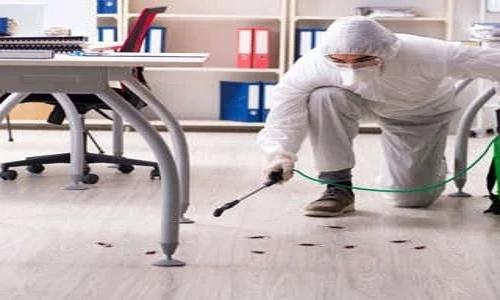 Cock - Ants Pest Control Services - Pest Control in Naigaon West, Vasai