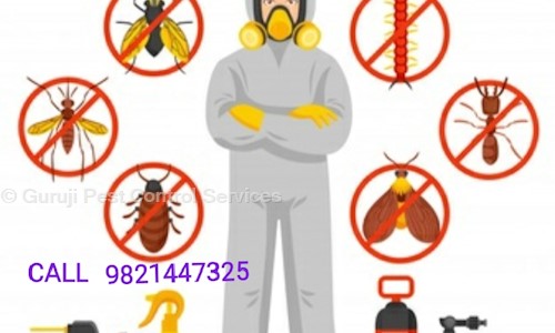 Guruji Pest Control Service - Pest Control in Dilshad Garden, Delhi