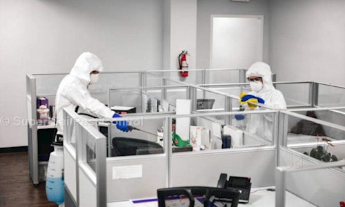 Super Sai Pest Control - Pest Control in Dwarka, Delhi
