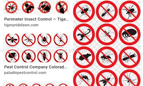 Run For You Packers And Movers - Pest Control in Kandivali East, Mumbai