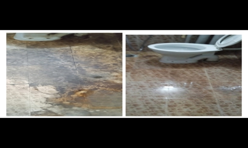 Back to Back Clean Facility Services - Pest Control in Padi, Chennai