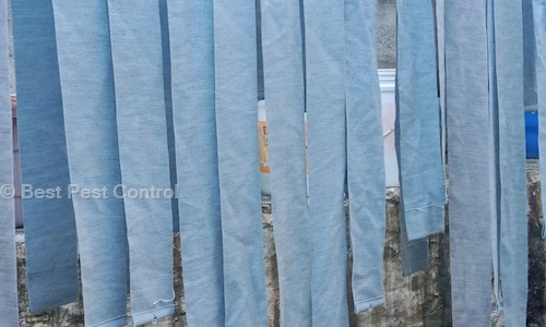 Best Pest Control - Pest Control in Velliangadu, Tirupur