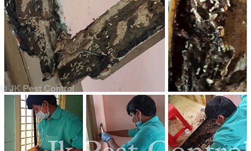 JK Pest Control - Pest Control in Devapuram, Guntur