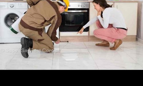 Super Sai Pest Control - Pest Control in Sangam Vihar, Delhi