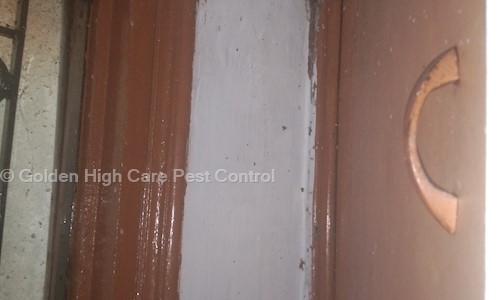 Golden High Care Pest Control - Pest Control in Sangam Vihar, Delhi