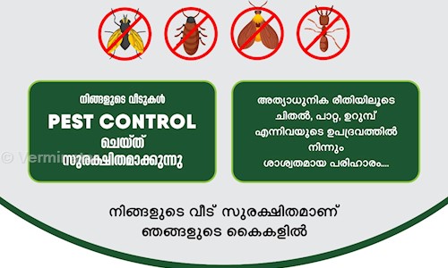 Verminator - Pest Control in Talap, Kannur