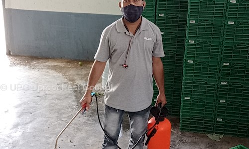 UPC Uproot Pest Control - Pest Control in BTM 1st Stage, Bangalore
