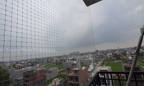 Tricity Pest Solutions - Pest Control in Utrathiya, Zirakpur