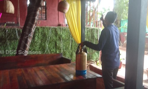 DSS Solutions - Pest Control in Bhosari MIDC, Pune