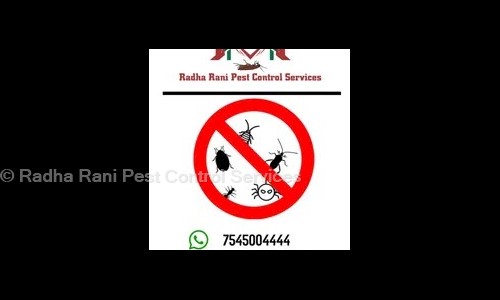 Radha Rani Pest Control Services - Pest Control in Main Road, Patna