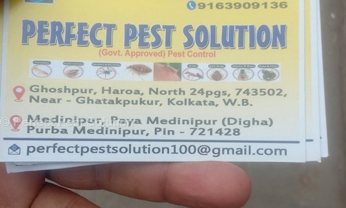 Perfect Pest Solution - Pest Control in Halisahar, Kolkata