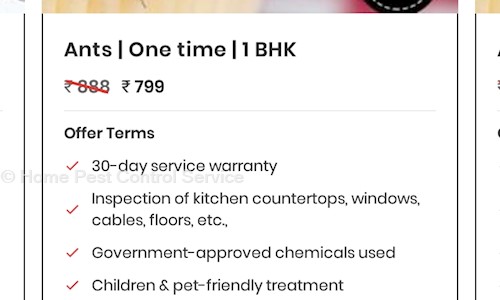 Home Pest Control Service - Pest Control in Sangam Vihar, Delhi