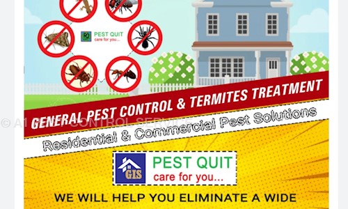A1 PEST CONTROL SERVICE - Pest Control in Warasiguda, Hyderabad