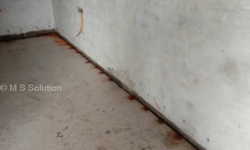 M S Solution - Pest Control in Medical College Colony, Jabalpur