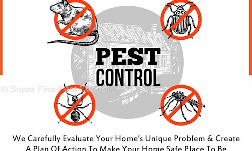 Super Fine Pest Control - Pest Control in Shaniwar Peth, Pune