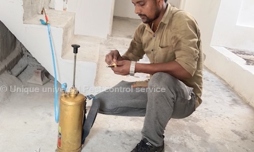 Unique universal Pest control service - Pest Control in Darshan Nagar, Faizabad