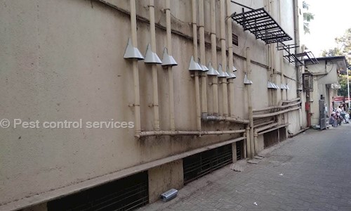 Pest control services - Pest Control in Aarey Milk Colony, Mumbai