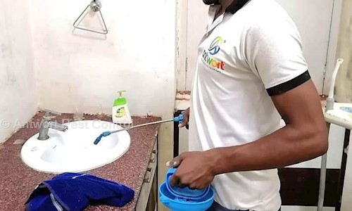 Antwort Pest Control - Pest Control in Cossipore, Kolkata