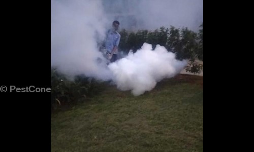 Pest Con Solution - Pest Control in Uppal, Hyderabad