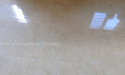 Sri Krishna Deep Cleaning - Pest Control in Madhurawada, Visakhapatnam