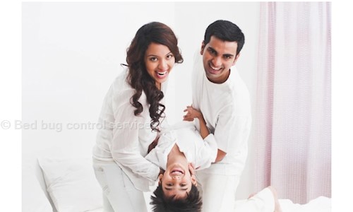 Bed bug control services - Pest Control in Koramangala, Bangalore