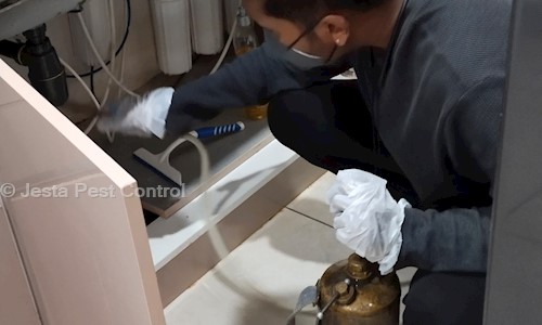 Jesta Pest Control - Pest Control in Varthur, Bangalore