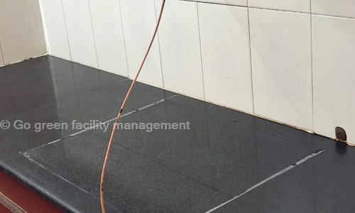 Go green facility management - Pest Control in Mettupalayam Road, Coimbatore