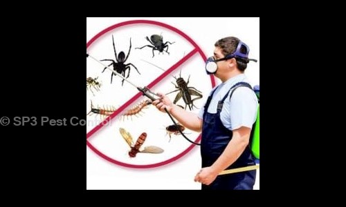 SP3 Pest Control - Pest Control in Lal Kuan, Delhi