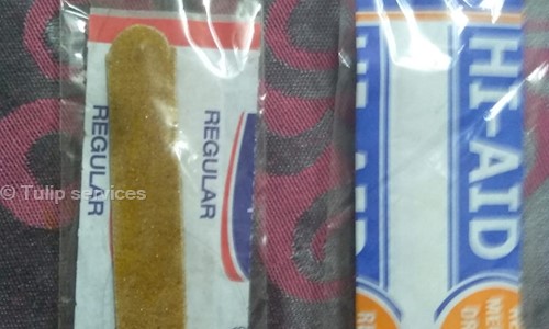Tulip Services - Pest Control in Rajeev Nagar, Patna