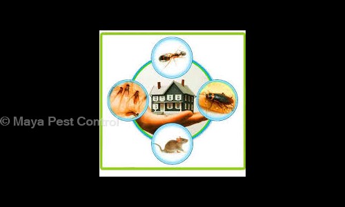 Maya Pest Control - Pest Control in Goregaon West, Mumbai