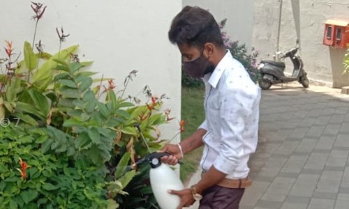 Pest Control 24/7 - Pest Control in Attibele, Bangalore