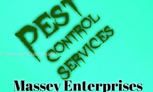 Massey Enterprises - Pest Control in , Almora