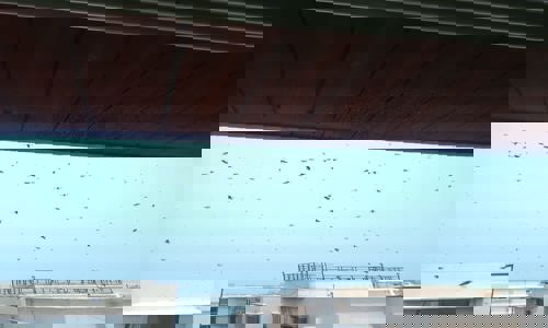 Ultrapower Pesticide - Pest Control in Thane West, Mumbai