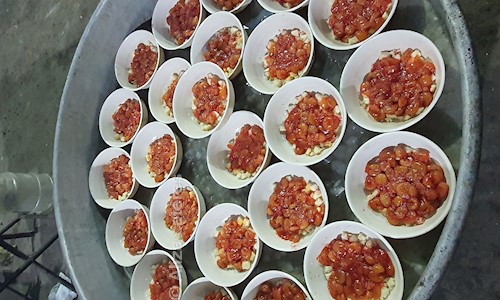 Aliza cateres - Catering Services in Abids, Hyderabad