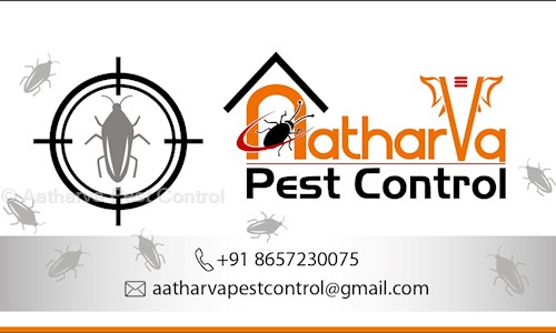 Aatharva Pest Control - Pest Control in C.B.D. Belapur, Mumbai