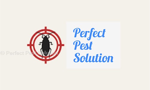 Perfect Pest Solution - Pest Control in Ram Bagan, Kolkata