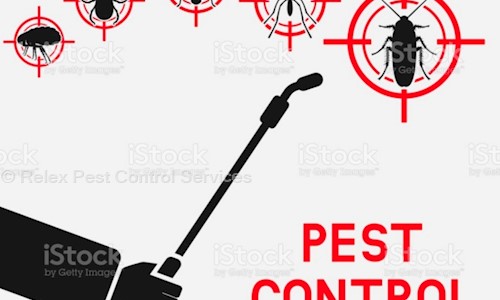 Relex Pest Control Services - Pest Control in Najafgarh, Delhi