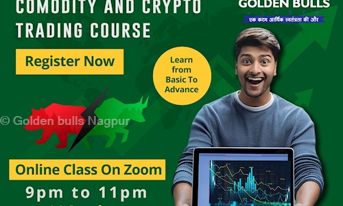 Golden bulls Nagpur - Job Training in Narsala, Nagpur