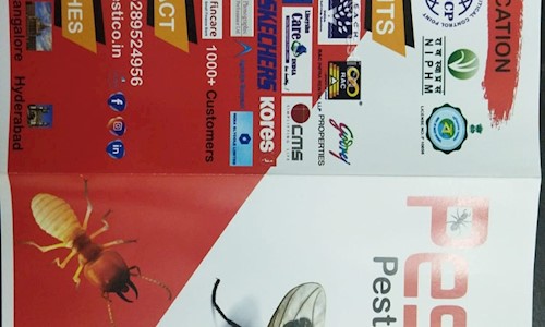Pestico - Pest Control in Masab Tank, Hyderabad