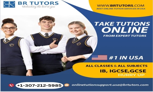 Be Ranker Tutors - School Tuitions in Noida Extension, Noida